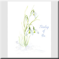 Card 6004
